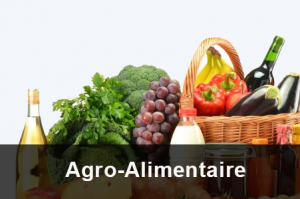 edp tunisie agro-alimentaire